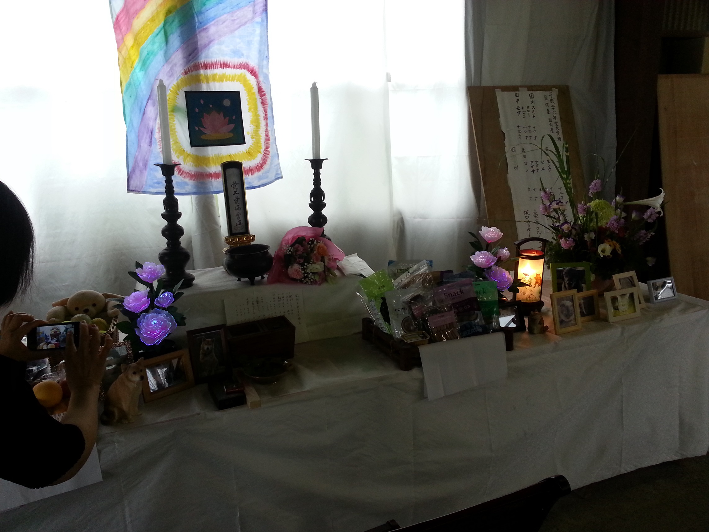 20140824_132854.jpg