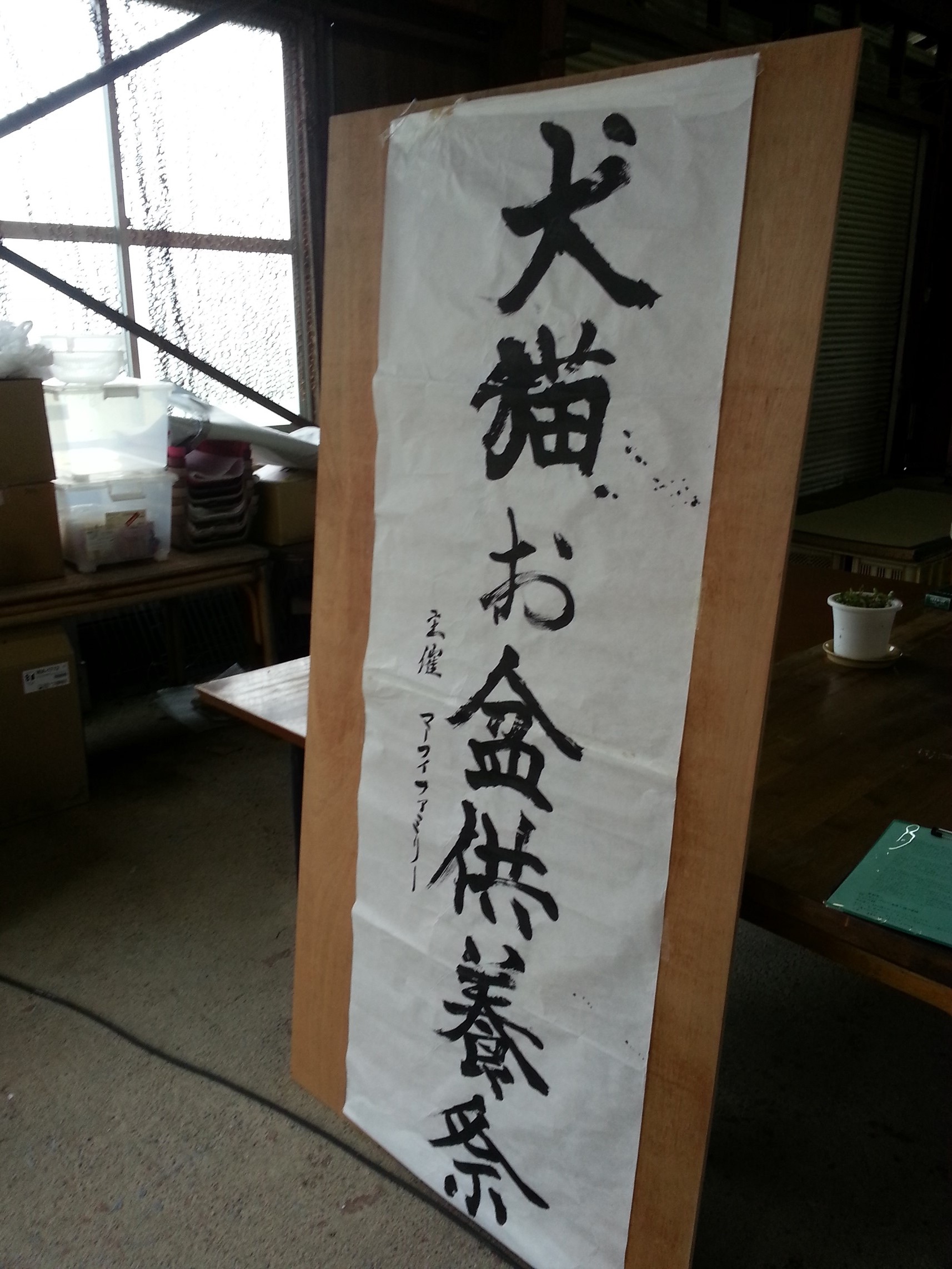 20140824_133051.jpg